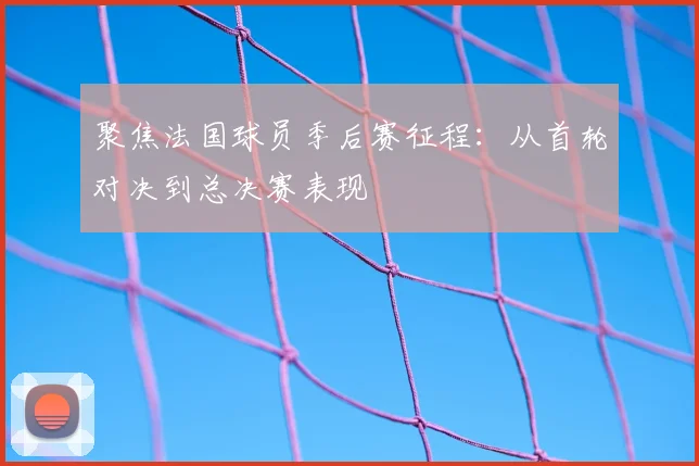 聚焦法国球员季后赛征程：从首轮对决到总决赛表现