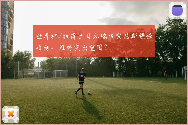 世界杯F组荷兰日本瑞典突尼斯强强对话,谁将突出重围?